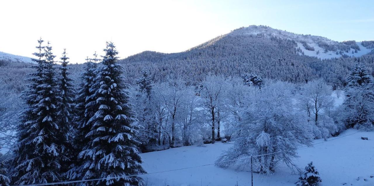Sci Jsm Apartment Gresse en Vercors Bagian luar foto